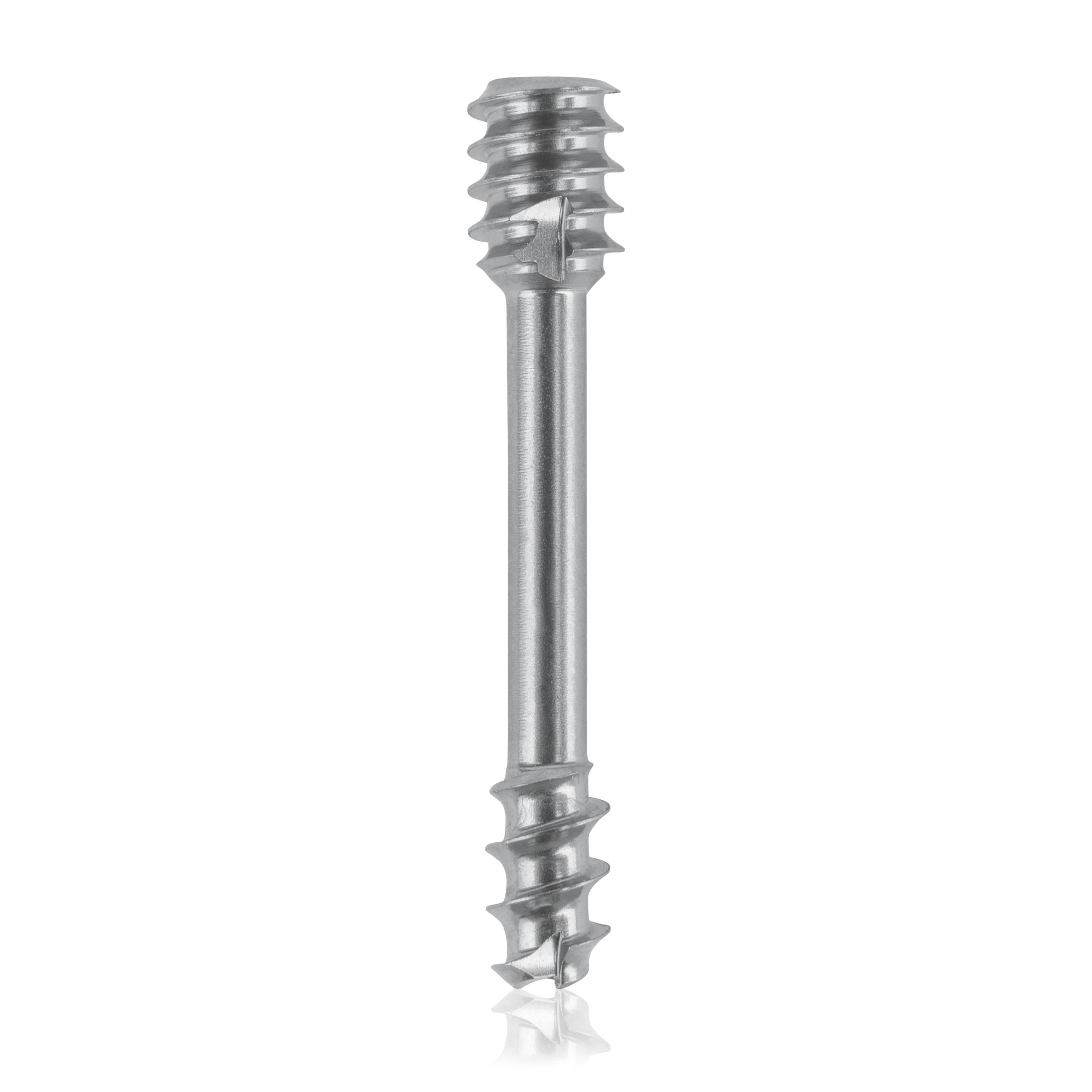 L = 22mm